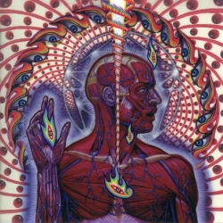 Capa do artigo Lateralus - CD