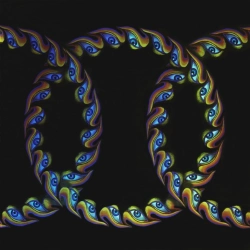 Capa do artigo Lateralus - Vinil