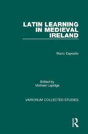 Latin Learning In Medieval Ireland - Preview