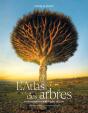 L'Atlas Des Arbres : Un Incroyable Tour Du Monde Végétal - Preview