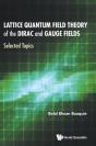 Lattice Quantum Field Theory Of The Dirac And Gauge Fields: Selected Topics - Preview