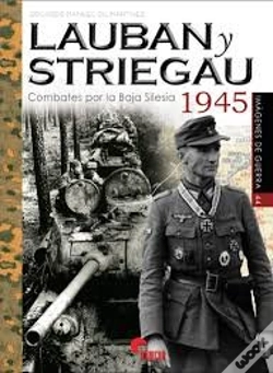 Capa do artigo Lauban Y Striegau