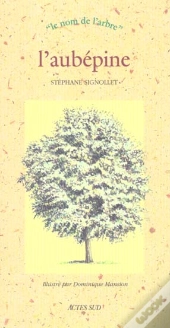 L'Aubépine
