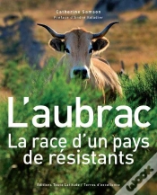 Capa do artigo L