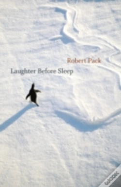 Capa do artigo Laughter Before Sleep