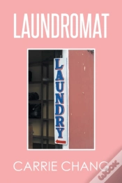 Capa do artigo Laundromat