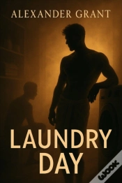 Capa do artigo Laundry Day