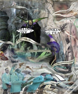 Capa do artigo Laure Provoust