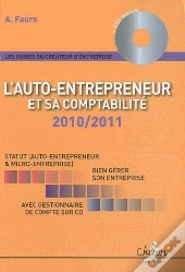 L'Auto-Entrepreneur Et Sa Comptabilité (Édition 2010/2011)