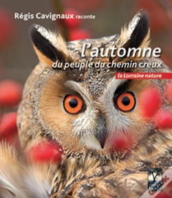 Capa do artigo L'Automne Du Chemin Creux