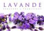 Lavande, Senteurs & Traditions - Preview