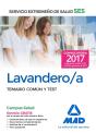 Lavandero/A Del Servicio Extremeño De Salud (Ses). Temario Común Y Test - Preview