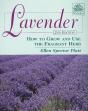 Lavender - Preview