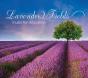 Lavender Fields - Music For Relaxation - CD - Preview