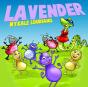 Lavender - Preview