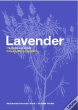 Capa do artigo Lavender