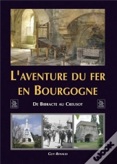 L'Aventure Du Fer En Bourgogne ; De Bibracte Au Creusot