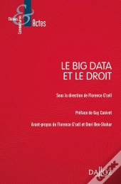 Law And Big Data