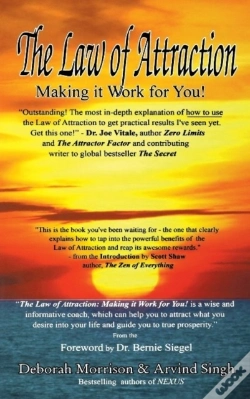 Capa do artigo Law Of Attraction