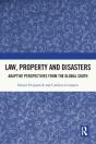 Law, Property And Disasters - Preview