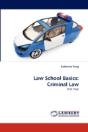 Law School Basics - Preview
