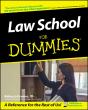 Law School For Dummies - Preview
