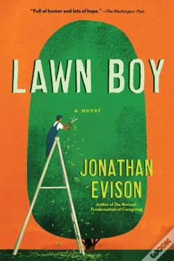 Capa do artigo Lawn Boy