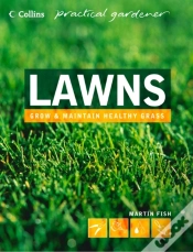 Capa do artigo Lawns