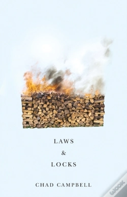 Capa do artigo Laws & Locks