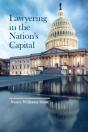Lawyering In The Nation'S Capital - Preview