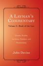 Layman'S Commentary Volume 1 - Preview