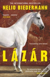 Capa do artigo Lazar