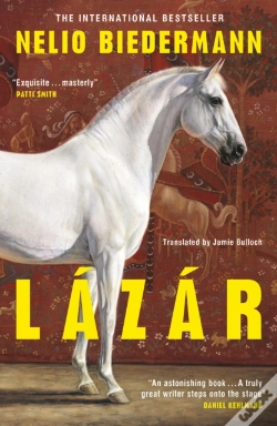 Capa do artigo Lazar
