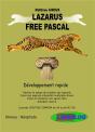 Lazarus Free Pascal - Developpement Rapide Accessible - Preview