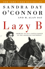 Capa do artigo Lazy B