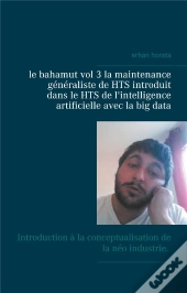 Le Bahamut Vol 3 La Maintenance Generaliste De Hts Introduit Dans Le Hts De L In - Introduction A La