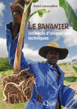 Capa do artigo Le Bananier