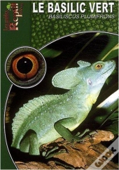 Le Basilic Vert