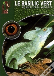 Capa do artigo Le Basilic Vert