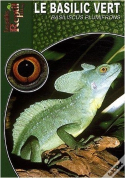 Capa do artigo Le Basilic Vert
