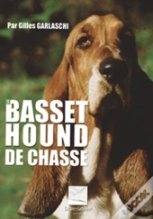 Le Basset Hound De Chasse