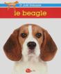 Le Beagle - Preview