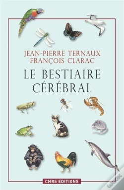 Capa do artigo Le Bestiaire Cerebral