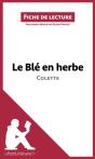 Le Blé En Herbe De Colette - Preview