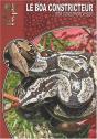 Le Boa Constricteur - Preview
