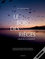 Capa do artigo Le Bois Des Rieges