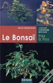 Capa do artigo Le Bonsai