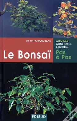 Capa do artigo Le Bonsai