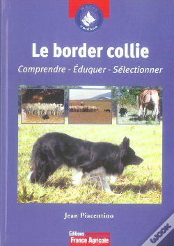 Capa do artigo Le Border Collie