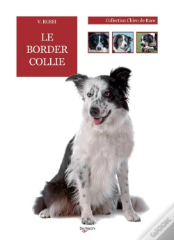 Capa do artigo Le Border Collie